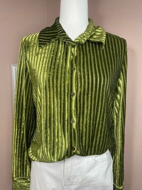 House of Harlow Velvet Green Metallic Stripe Blouse Medium